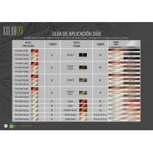 KOLOREKO PRECOLOR CENIZA para tinte natural – Coloración 100% vegetal y ecológica
