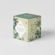 BIOCENTER Vela natural de cera de soja - TÉ VERDE Y LIMA, frescura y vitalidad - 200 g (40 horas)