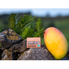biocenter-champu-solido-cabello-seco-zero-waste