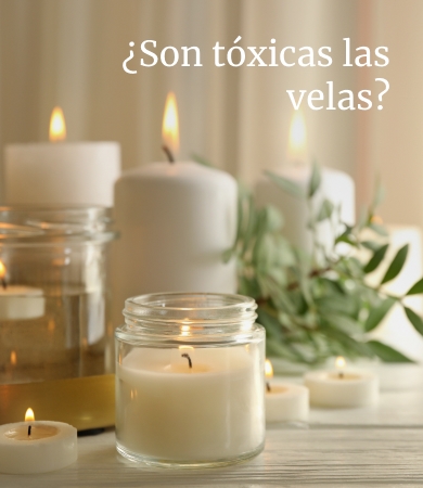 48c22d5b848d1614fb993224c0e5305d8787331a_categoria.jpg